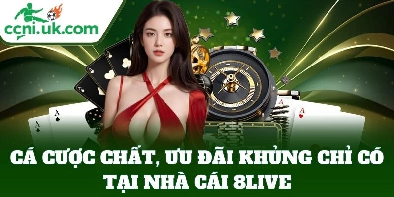 Cập nhật ưu đãi mới nhất từ 8LIVE
