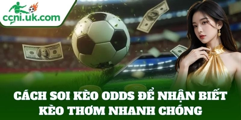 Cách soi kèo odds để nhận biết kèo thơm nhanh chóng