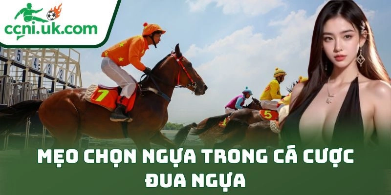 Mẹo Chọn Ngựa Trong Cá Cược Đua Ngựa Để Thắng Lớn