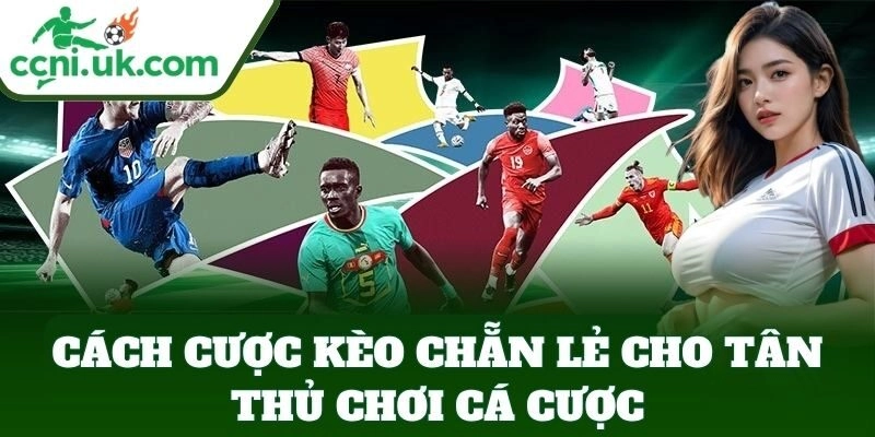 Cách Cược Kèo Chẵn Lẻ cho tân thủ chơi cá cược