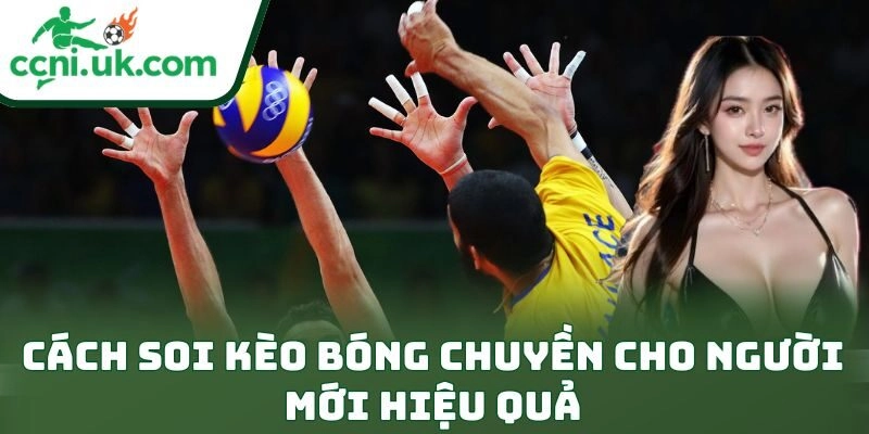 Cách soi kèo bóng chuyền cho người mới hiệu quả