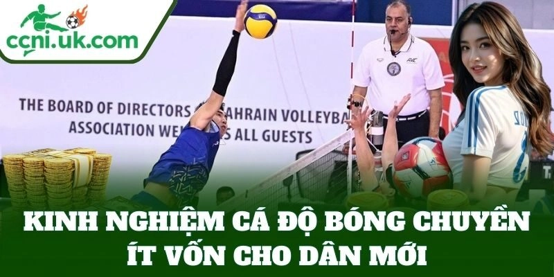 Kinh Nghiệm Cá Độ Bóng Chuyền Ít Vốn cho dân mới