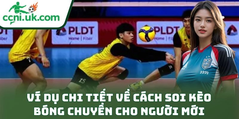 Ví dụ chi tiết về cách soi kèo bóng chuyền cho người mới