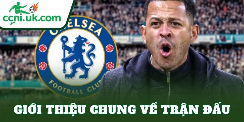 Giới thiệu chung về trận đấu